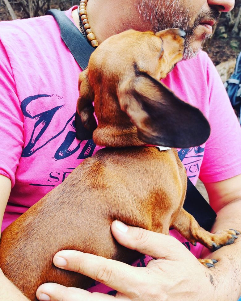 pet therapy con bassoto in braccio