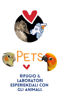 logo Different Pets Home laboratori esperienziali
