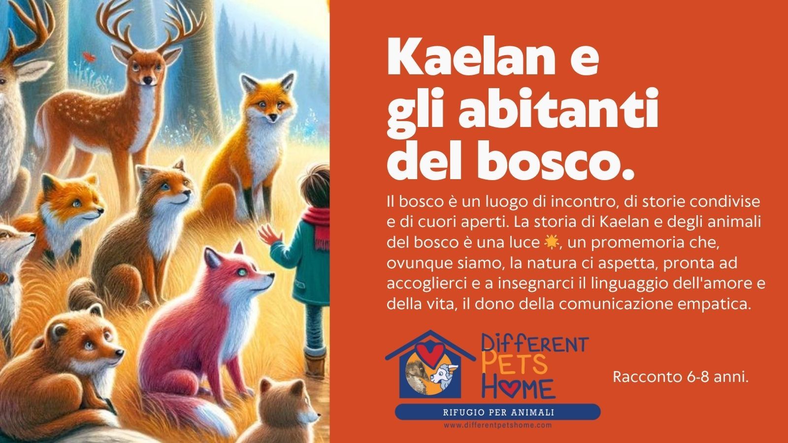 Kaelan e gli abitanti del bosco - 6 - 8 anni - Different Pets Home - by Andrea Boscaro