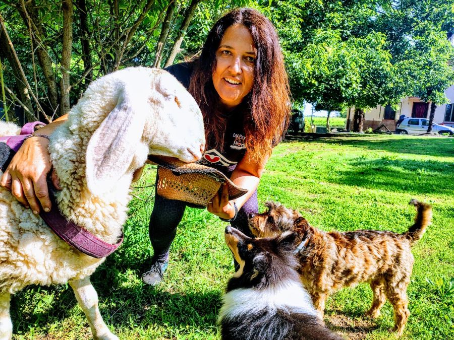 tania sacrato con pecora e cani