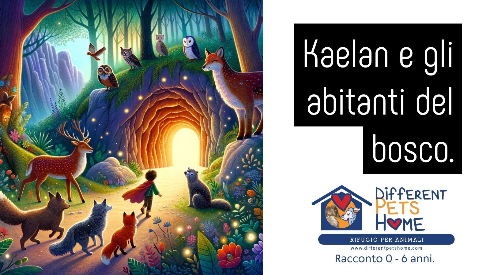 Kaelan e gli abitanti del bosco 0 - 6 anni - Different Pets Home - by Andrea Boscaro