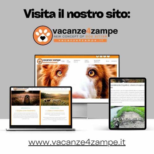Banner vacanze 4 zampe